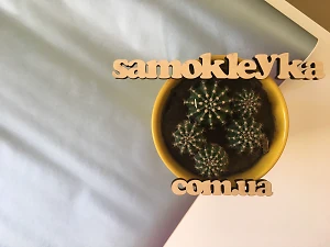 Самоклеющаяся пленка Gekkofix 45см х 1м 12752