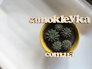Самоклеющаяся пленка D-C-Fix 45см х 1м Df 200-3215  (Бежевая)
