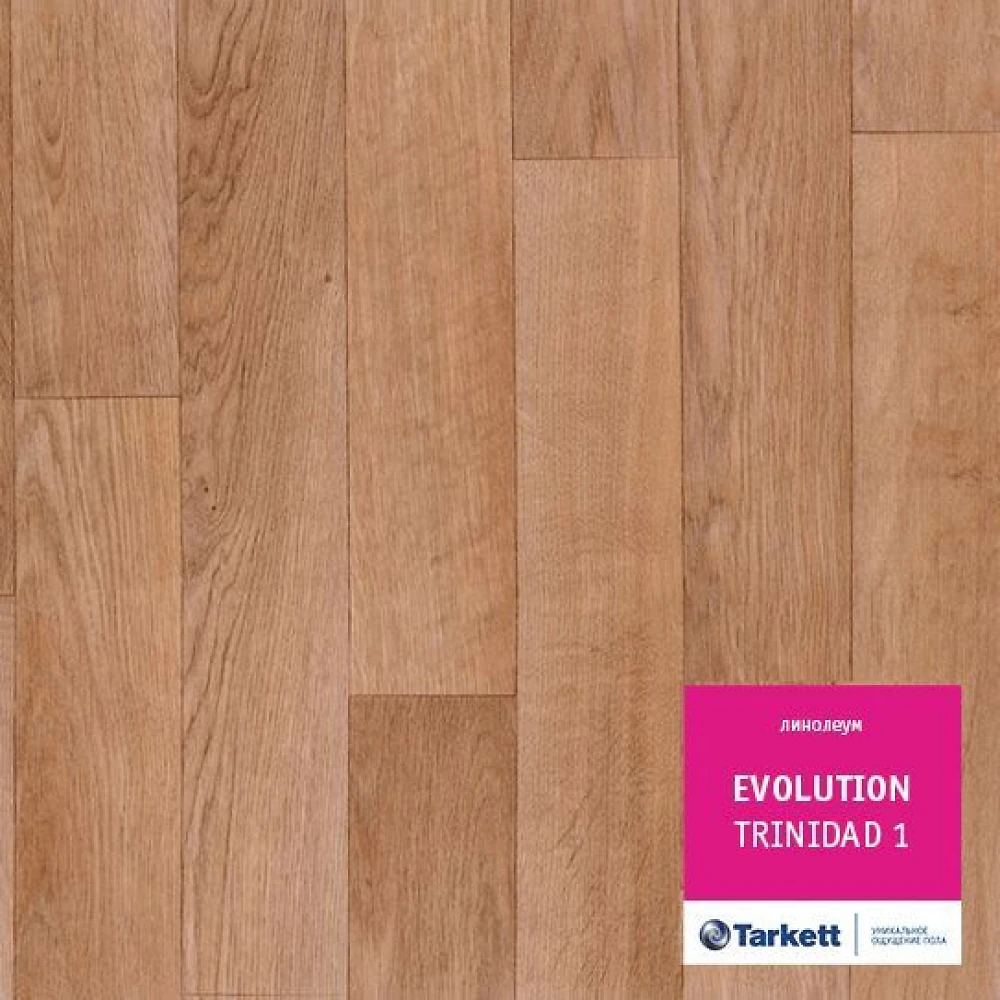 Линолеум Tarkett (Сербия, Россия) (серия Evolution) наименование Trinidad 1 (3;3,5;4м)
