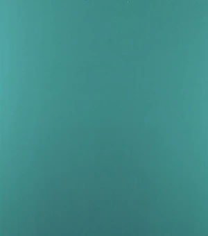 Пластик 3000*250*8мм Изумрудный RL 3000 Riko термоперевод