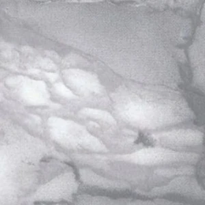 Самоклеющаяся пленка Gekkofix 90см х 15м 11047