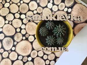 Самоклеющаяся пленка Gekkofix 90см х 15м 11617