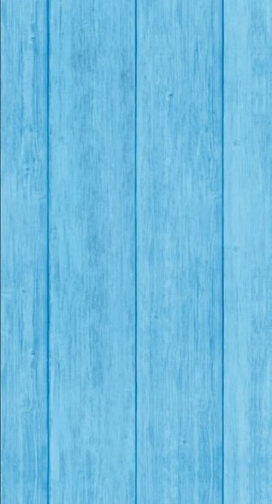 Пластик 3000*250*8мм Ромашки Фон Харьков-пласт
